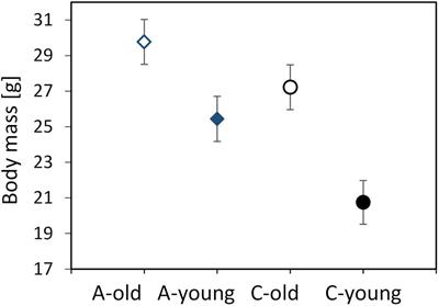 Age-Related Changes in the Thermoregulatory Properties in Bank Voles From a Selection Experiment